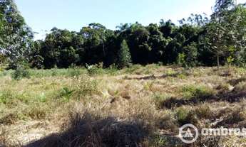 Imagem 4: Amplo terreno para sítio