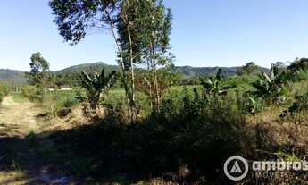 Imagem 6: Amplo terreno para sítio