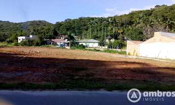 Imagem: Terreno para galpão - saída para Rod