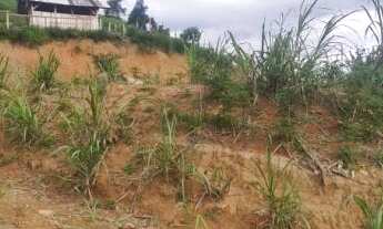 Imagem 7: TERRENO DE FRENTE PARA RODOVIA