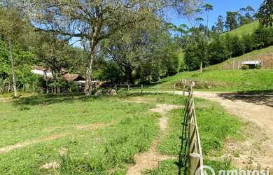 Imagem 5: LINDA chácara com varias nascentes de agua, casa, salão de festas e lagoa
