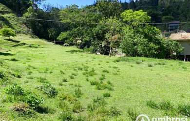 Imagem 7: LINDA chácara com varias nascentes de agua, casa, salão de festas e lagoa