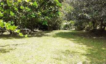 Imagem 3: Sítio com água em abundância