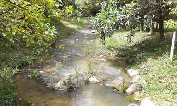 Imagem 2: Sítio com água em abundância