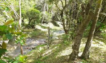 Imagem: Sítio com água em abundância