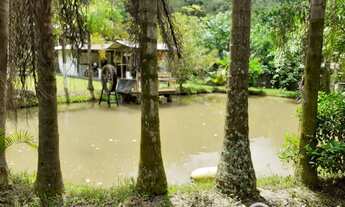 Imagem 6: Sítio com água em abundância