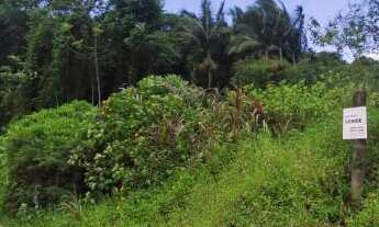 Imagem: Terreno Ideal Para Empresa ou Sitio