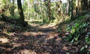 Imagem 7: Amplo terreno a 15 km de Brusque com 187.000,00 m² em ótima localização