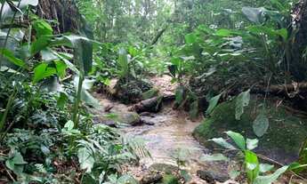 Imagem: Terreno Ideal Para Área de Reserva ou Sítio!!!