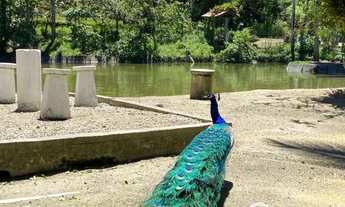 Imagem 6: Linda Chácara com acesso privilegiado para centro de Guabiruba e Brusque