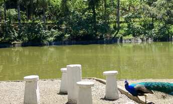 Imagem 7: Linda Chácara com acesso privilegiado para centro de Guabiruba e Brusque