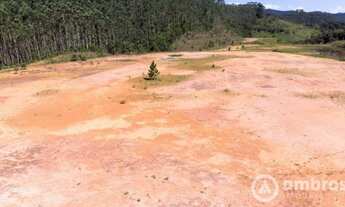 Imagem 5: Terreno Gigante à 150 Metros da Rodovia Antônio Heil