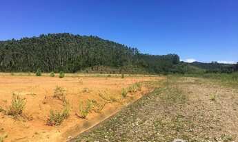 Imagem: Terreno Gigante à 150 Metros da Rodovia
