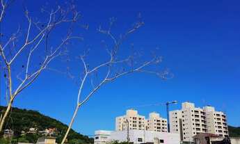 Imagem 6: Terreno à Poucos Km da BR 101 - Camboriú