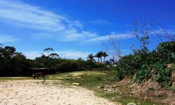 Imagem 5: Terreno à Poucos Km da BR 101 - Camboriú