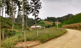 Imagem 2: Lindo Sítio em Angelina