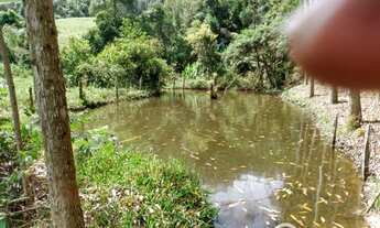 Imagem 5: Lindo Sítio em Angelina