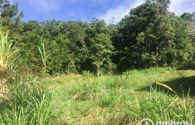 Imagem 2: TERRENO BONITO EM GUABIRUBA SUL