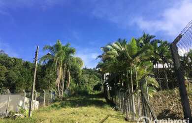 Imagem 4: TERRENO BONITO EM GUABIRUBA SUL