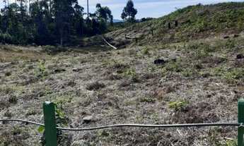 Imagem 3: Terreno para Sítio em Botuverá