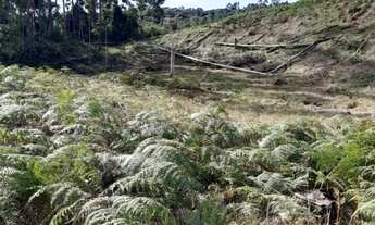 Imagem 2: Terreno para Sítio em Botuverá