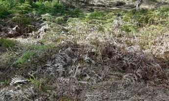 Imagem 7: Terreno para Sítio em Botuverá