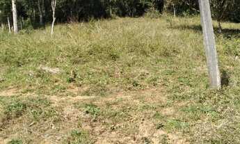 Imagem: Terreno em Área Industrial