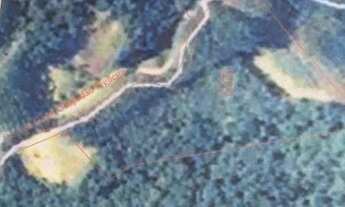 Imagem 4: Terreno para Sítio em Botuverá com Eucalipto Plantado