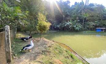 Imagem 4: Chácara Perfeita para moradia