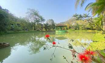 Imagem 3: Chácara Perfeita para moradia