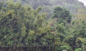 Imagem 1: TERRENO GUABIRUBA - 6.000M2