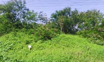 Imagem: Terreno Loteamento Paris - Travessa Dom