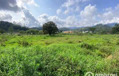 Imagem 7: Terreno top para construção de galpão