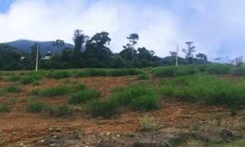 Imagem: Jardim das Hortênsias Perto do Verde Longe