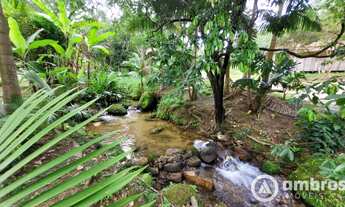 Imagem: Belíssimo sítio Escriturado em Nova Trento