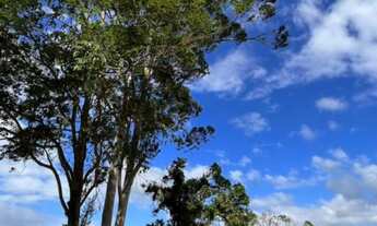 Imagem 6: Terreno espetacular com 3 casas frente para Lagoa de Imarui/SC