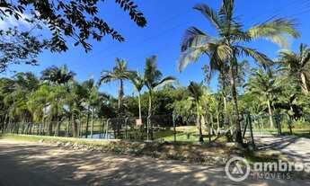 Imagem: Terreno industrial Próximo a 500mt Rodovia