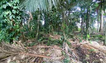 Imagem: Terreno em localizaçao exclusiva