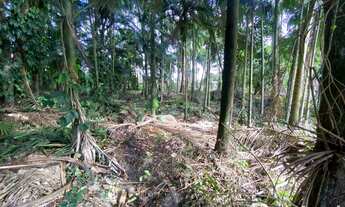 Imagem 3: Terreno em localizaçao exclusiva