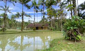 Imagem: Chácara 100 aproveitável