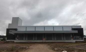 Imagem 7: GALPÃO COM ÁREA DE 4100M2 - BATEAS- BRUSQUE