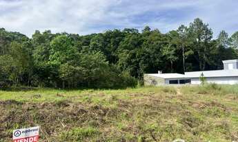 Imagem 5: Terrenos bairro Pomerânea, parcelamento direto com o proprietário