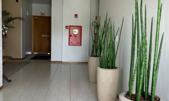 Imagem 6: APTO 02 QTOS - RIO BRANCO