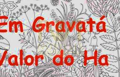 Imagem: O terreno possui 1.010.000m² de Área e está localizado em