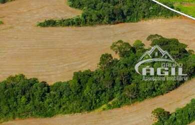 Imagem: Área rural, localizada próximo ao KM 16 e a Comunidade de