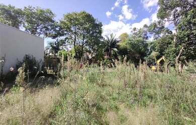 Imagem 8: Terreno no bairro Jardim do Alto