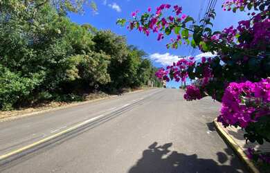 Imagem 2: Terrenos no bairro Vista Alegre