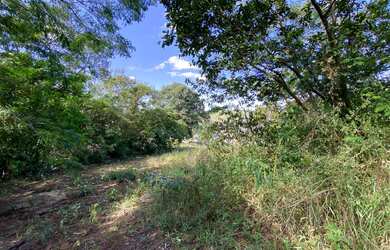 Imagem 10: Terrenos no bairro Vista Alegre