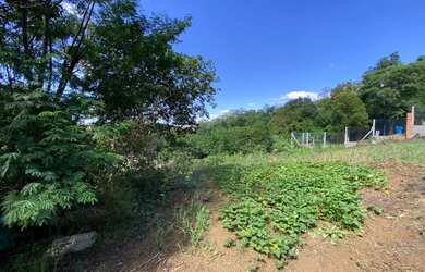 Imagem 11: Terrenos no bairro Vista Alegre