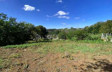 Imagem 14: Terrenos no bairro Vista Alegre